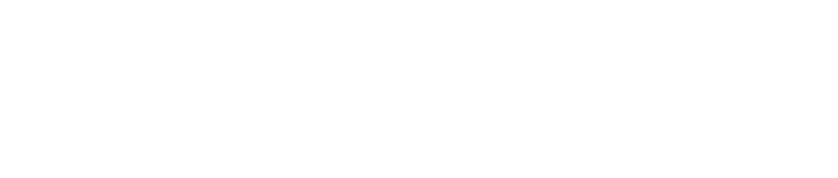 fixon